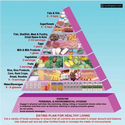 FNRI’s Pinggang Pinoy to guide Filipinos on how much to eat per .